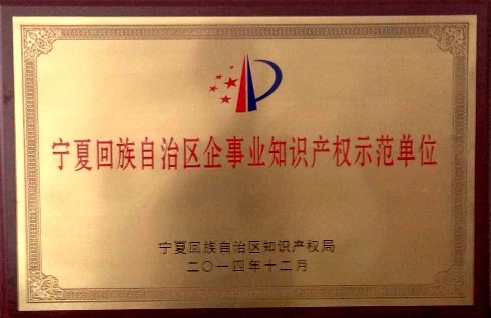 知識產(chǎn)權示范單位.jpg
